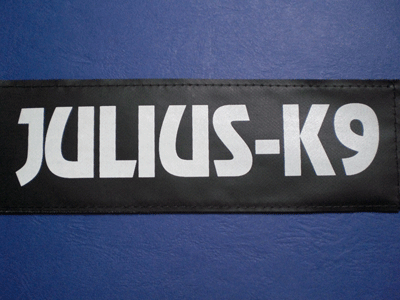 Julius K9 Power harness  red  GREAT labels available  